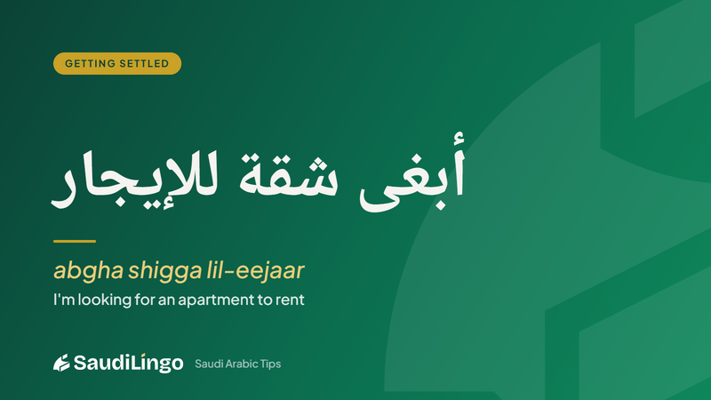 أبغى شقة للإيجار (‎abgha shigga lil-eejaar) — Getting settled: renting an apartment in Saudi Arabia