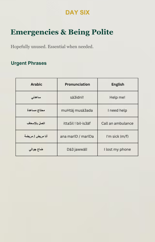 Saudi Arabic for Your First Week as an Expat