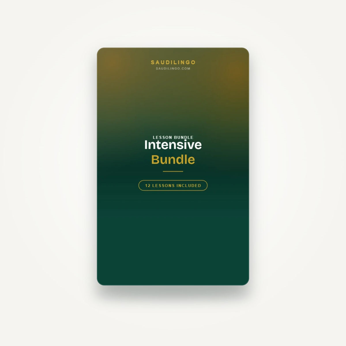 Intensive lesson bundle — 12 private lessons